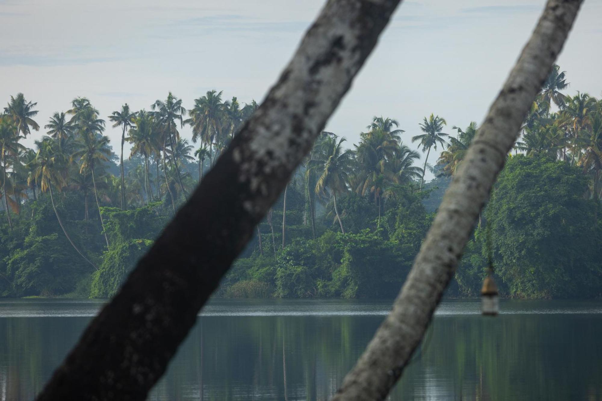 Cranganor History Café&Riverside Château North Paravur Esterno foto